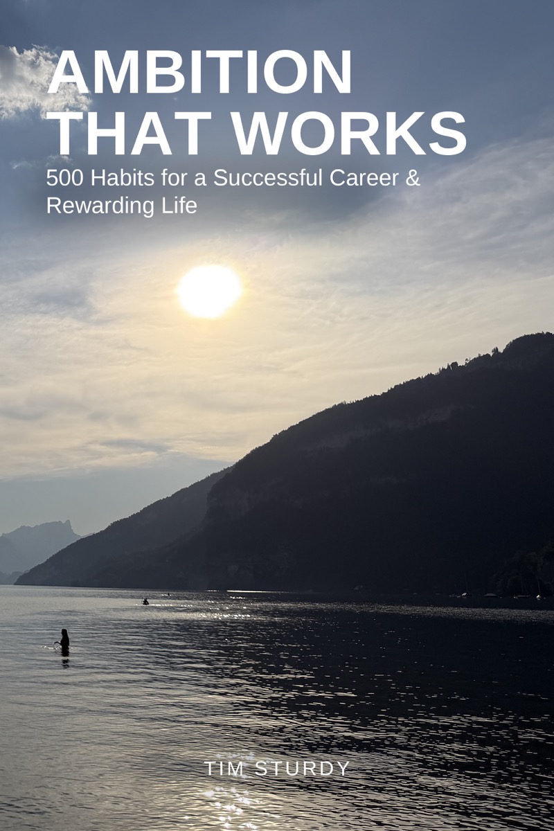 Ambition That Works: 500 Habits for a Successful Career and Rewarding Life book cover
